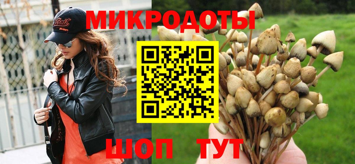 Галлюциногенные грибы Cubensis Зеленокумск